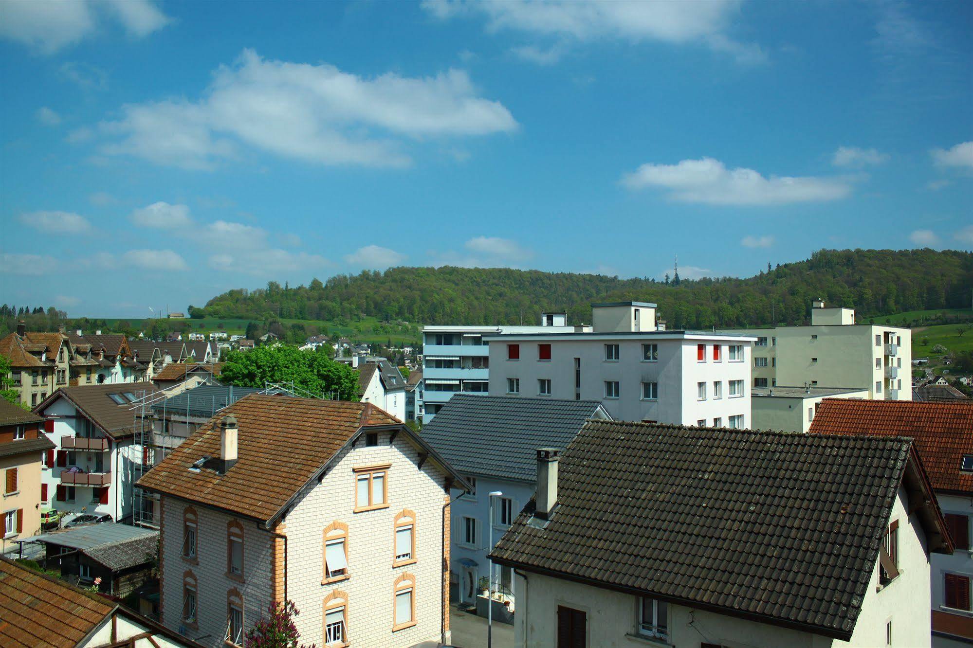 Hotel Rheinfall 노이하우즌 암 라인팔 외부 사진